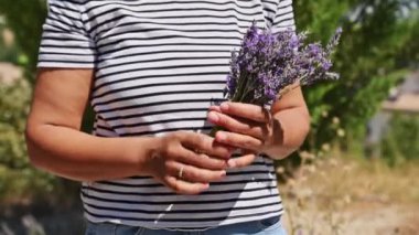 Dağlarda yabani çiçekler, şifalı otlar ve bitkiler toplayan bir kadının ellerinde bir demet lavanta çiçeği. İnsanlar, doğa ve sağlıklı yaşam tarzı. Aromaterapi.
