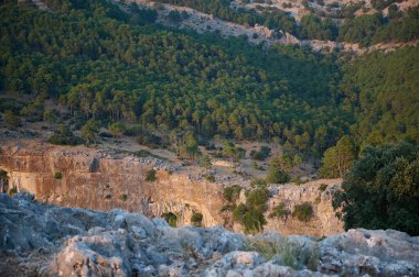 Kayalık bir kayalık kenarlı ormanlık bir dağın görkemli manzarası. Yoğun ağaçlar, yuvarlanan tepeler ve gün doğumunda doğal güzellik. Vahşi doğanın ve huzurun özünü yakalar..