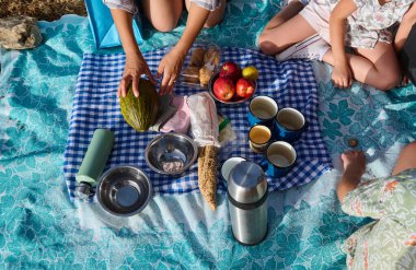 Taze meyve, abur cubur ve battaniyeye konmuş içeceklerle aile pikniğinin en güzel manzarası. Çocuklar ve yetişkinler güneşli bir açık hava yemeğinin tadını çıkarıyor..