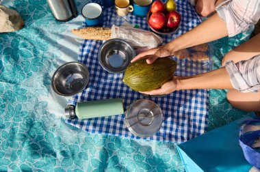 Meyve, termos ve mavi kareli battaniyede paslanmaz çelik kaselerle piknik düzenleyen biri. Açık hava aktiviteleri, sağlıklı beslenme ve boş zaman için mükemmel..