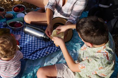 Parkta çocuklarla yapılan aile pikniğinin en iyi görüntüsü, güneşli bir günde yemeklerin ve açık havanın tadını çıkarmak. Mavi kareli bir battaniyede meyve, atıştırmalık ve termosla piknik yapmak..