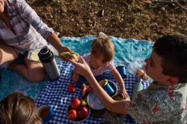 Çocuklarla battaniyede piknik yapan, güneşli bir günde abur cubur ve içkileri paylaşan bir aile. Elma, termos ve bardaklar görünür..