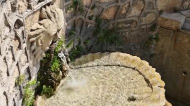 Süslü taştan bir fıskiyeye yakın çekim. Çeşme oyulmuş bir yüzle süslenmiş ve yemyeşil yosun ve bitkilerle çevrili..