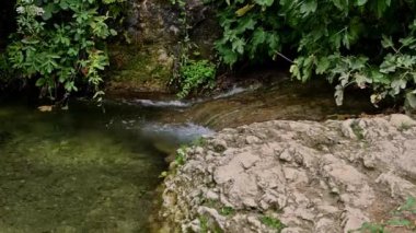 Küçük bir şelalenin yemyeşil bir ormandaki kayaların üzerinde şelalenin serin görüntüleri. Temiz su yavaşça akar, huzurlu ve sakin bir atmosfer yaratır..