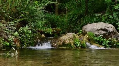 Ormandaki bir dereye akan küçük bir şelale..