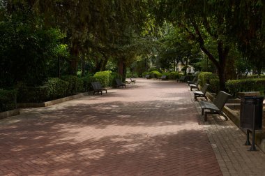 Bereketli ağaçlar ve yeşilliklerle çevrili asfalt bir yol içeren huzurlu bir park manzarası. Rahatlamak için ideal..