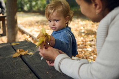 Güneşli bir parkta sonbahar yapraklarını keşfederken bir anne ve çocuğu arasında paylaşılan hassas bir an. Çocuk merakla yeşilliği inceliyor, keşfi ve sıcaklığı simgeliyor..