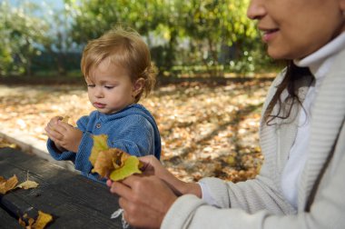 Bir anne ve küçük çocuğu, sonbahar yapraklarıyla çevrili bir parkta bir masada oturuyorlar. Çocuk yapraklarla oynar, dokularını keşfederken, anne sevgiyle izler, huzurlu bir aile anı yaratır..