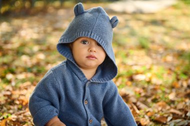Kulakları kulaklarında mavi örülü kapüşonlu şirin bir bebek, renkli sonbahar yapraklarının arasında oturur, sakin dış mekanlarda büyüleyici ve meraklı bir şekilde..