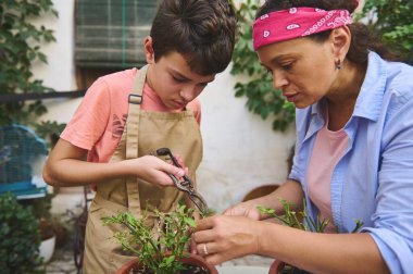 Bir anne ve oğul bahçeyle uğraşır, bitkileri budarlar ve arka bahçelerinde kaliteli vakit geçirirler. Annesi ona rehberlik ederken çocuk makas kullanıyor. Besleyici bir atmosfer sağlıyor..
