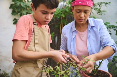 A mother and her son enjoy a bonding moment as they tend to plants in the garden. The boy learns gardening skills hands-on, wearing an apron, while his mother guides him with care and patience. clipart