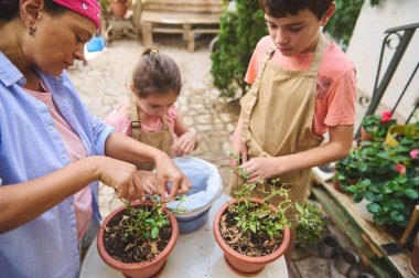 Bir aile bahçe işleriyle uğraşır, saksı eker ve yetiştirir. Çocuklar açık hava ortamında yetişkinlerin rehberliği altında doğa ve takım çalışmasını öğrenirler..