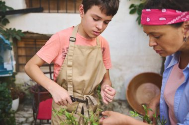 Bir anne ve oğlu arka bahçelerinde birlikte bahçe işleriyle uğraşır, bitki budarlar. Önlük takan çocuk, annesinin rehberliği altında bahçıvanlık becerileri öğreniyor, aile bağlarını gösteriyor..