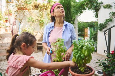 Bir anne ve kız, güneşli bir günde bahçıvanlık yapar, saksı bitkileriyle ilgilenir. Çevrelerindeki canlı yeşillik, aile bağlarını sembolize eden barışçıl açık hava atmosferine katkı sağlıyor..