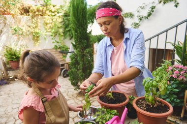 A mother and daughter enjoy a bonding experience by gardening together. They plant herbs in pots, demonstrating care and learning in nature, surrounded by vibrant greenery. clipart