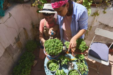 Güneşli bir balkonda bitki bahçeleriyle ilgilenirken birbirine bağlanan bir anne ve oğul. Bitkileri beslemeye, birlikte bir an yaratmaya ve öğrenmeye odaklanırlar..