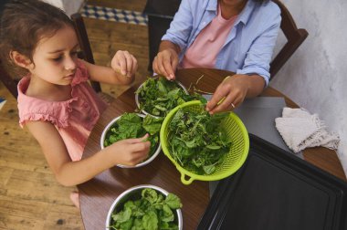 Genç bir kız ve annesi evde taze yeşil salata hazırlarken birbirlerine bağlanıyorlar. Ispanak ve yapraklı yeşillikleri birlikte sınıflandırırlar, aile zamanlarını vurgularlar ve sıcacık bir mutfak ortamında sağlıklı beslenme alışkanlıklarını..