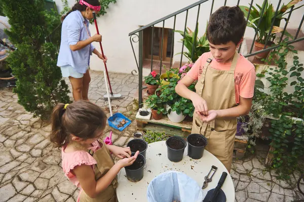 Çocuklar bahçıvanlık faaliyetlerine katılıyorlar, saksılara tohum ekiyorlar, açık hava becerilerini öğreniyorlar ve takım çalışmasına katılıyorlar. Bir aile, arka bahçesinde saksı bitkilerinin arasında iyi vakit geçirir..