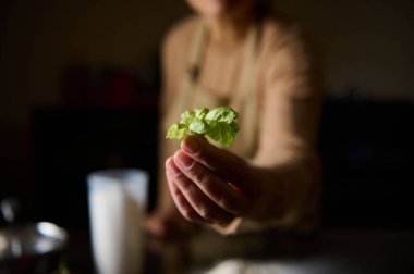 Bir şefin eli taze fesleğen yaprağını sunmak için uzanır, canlı rengini ve dokusunu sıcacık aydınlatılmış mutfak ortamında vurgular..