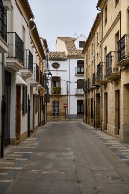 Tarihi binaların dar bir kaldırım taşı caddesini kapladığı klasik Avrupa mimarisini gözler önüne seriyor. Kültürel ve seyahat temalarını tasvir etmek için ideal.