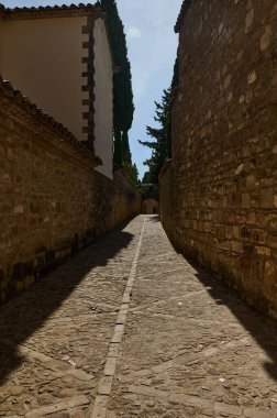 Yüksek antik duvarlarla çevrili dar bir taş yol uzak bir kemer yoluna çıkıyor. Güneş ışığı, dokulu yüzeylere dramatik gölgeler düşürür. Resimli ve sakin bir atmosfer yaratır..