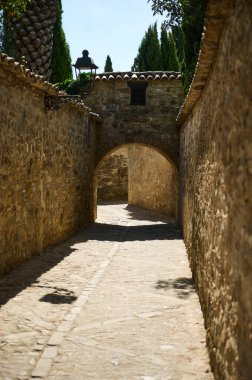 Kırsal duvarları olan dar, taştan dar bir sokak, berrak bir gökyüzünün altında yeşilliklerle çevrili, kemerli bir geçide çıkıyor..