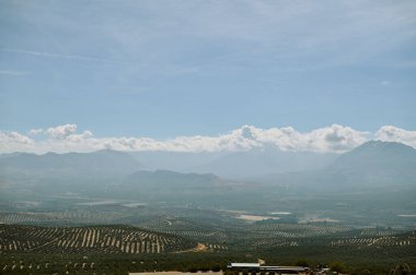 A breathtaking landscape showcasing rows of agricultural fields under a vast blue sky, with majestic mountains completing the picturesque scene in the background. clipart