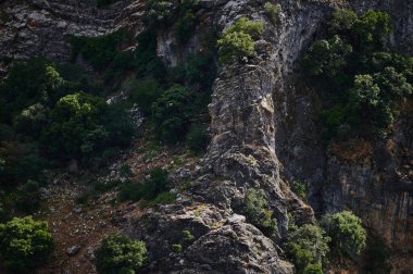 Engebeli bir manzara, yükselen kayalıklar ve yemyeşil bitki örtüsü sükuneti ve doğal güzelliği çağrıştırıyor..