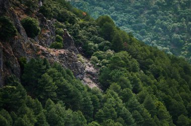 Yumuşak ışık altında engebeli kayalık yamaçları çevreleyen canlı yeşil ormanların büyüleyici manzarası..