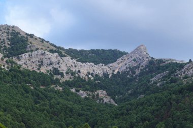 Uçsuz bucaksız dağların altındaki yamaçları kaplayan yemyeşil bir ormanın nefes kesici manzarası bulutlu gökyüzünün altında..
