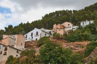 Rustic homes lined up on a steep hill, enveloped by green foliage under an overcast sky, showcasing a peaceful countryside lifestyle in harmony with nature. clipart