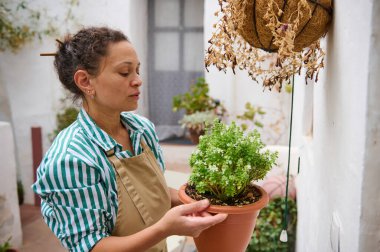 A woman is seen in a peaceful outdoor garden environment, nurturing a potted plant with attention. Dressed in an apron, she embodies gardening and nature, creating a tranquil and lively atmosphere. clipart