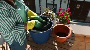 Balkonunda çiçek saksısı yapan bir kadın. Eldiven takıyor ve balkon bahçesini hazırlamak için toprak kullanıyor..