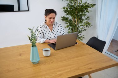 Genç bir kadın, rahat bir ortamda, modern dijital göçebe yaşam tarzını temsil eden rahat bir ortamda çalışırken dizüstü bilgisayarına odaklanır..
