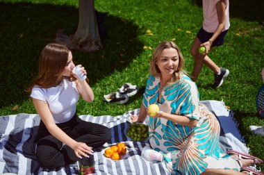 Güneşli bir açık hava parkı ortamında rahatlatıcı ve sağlıklı bir piknik yapan bir aile ve arkadaş. Canlı yaz sıcaklığı, beraberlik atmosferini ve doğayı güzelleştirir..
