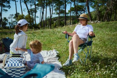 Bir aile, açık bir ormanda piknik yaparak güneşli bir günün tadını çıkarır. Güzel manzaranın ortasında, aile bağları ve açık hava keyfine vurgu yaparak, boş zaman ve bağın bir kombinasyonu meydana gelir..