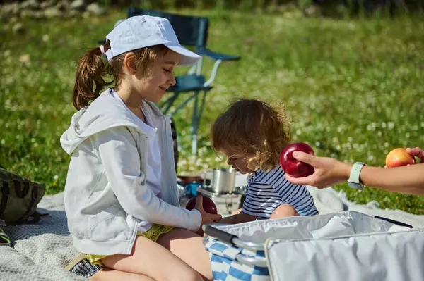 Neşeli bir aile, canlı bir yaz günü dağlarda piknik yapar. Bağlantılar kurar ve doğa ve açık hava deneyimlerinin güzelliği ile geliştirilmiş neşeli anılar yaratır..