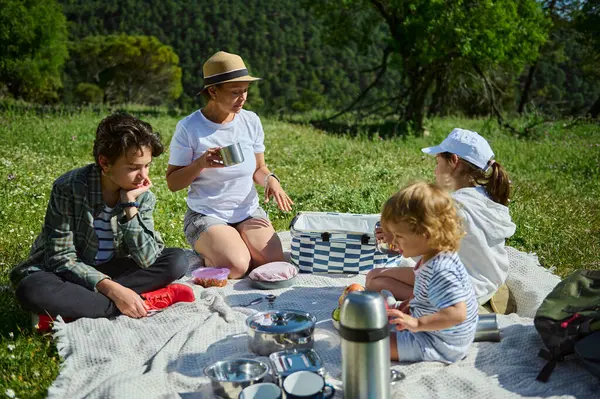 Aile, açık havada, güneşli bir dağ manzarasında piknik yaparak vakit geçiriyor. Beraberliği, neşeyi ve rahatlığı yansıtıyor..