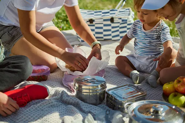 Güneşli bir günde, dışarıda birlikte vakit geçiren, yiyecekleri paylaşan ve huzurlu bir dağda piknik yaparken doğayı kutlayan bir aile..