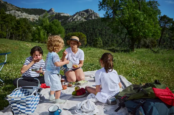 Bir aile güzel dağ doğasının ortasında bir battaniyenin üzerinde toplanır, güneşli bir günün tadını çıkarırlar, yemekle ve neşeli bir etkileşimle, beraberliği, rahatlamayı ve açık havada eğlencenin güzelliğini sembolize eder..