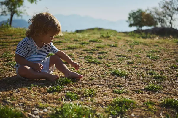Genç bir çocuk güneşli bir günde rahat bir şekilde oturur, çimenli bir alanda oynar ve keşfe çıkar. Açık hava atmosferi barışı, merakı ve doğayla bağlantıyı vurguluyor..