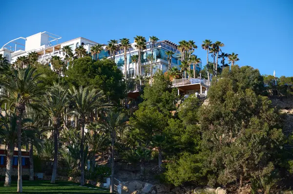 Bereketli yeşilliklere ve bir yamaçta açık mavi gökyüzünün altında palmiye ağaçlarına yuva yapmış zarif bir otel. Rahatlamak ve manzaralı güzellikler için mükemmel bir kaçış noktası..