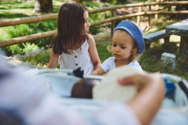 İki sevimli çocuk piknik günü dışarıda sakin doğal bir ortamın tadını çıkarıyorlar ve yemyeşil bir ormanın ortasında neşeli anılar yaratıyorlar..
