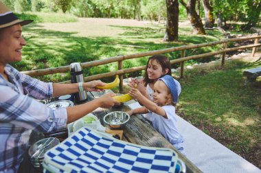 Yeşil bir parkta rahatlatıcı bir aile pikniği, güneşli bir günün doğal ortamında taze atıştırmalıkların ve kaynaşmanın tadını çıkarmak..