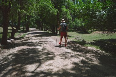 Sırt çantalı ve bastonlu bir adam yeşilliklerle çevrili bir orman yolunda yürüyor. Bu görüntü seyahat, sükunet ve doğaya olan sevgiyi çağrıştırıyor..
