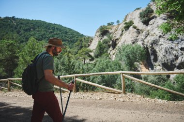 Berrak mavi gökyüzünün ortasında yemyeşil bir dağ yolunda yürüyen yürüyüş ekipmanlarıyla bir gezgin. Bir yaz gününde keşif, doğa ve sükunetin ruhunu büyüler..