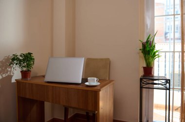 Ahşap bir masanın üzerinde, canlı iç mekan bitkileriyle çevrili, üretkenliği ve konforu teşvik eden, yumuşak doğal ışıkla yıkanmış, parlak bir dizüstü bilgisayarın yer aldığı modern bir ofis..