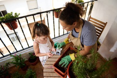 Bir anne ve kız evlerinin balkonunda bitki ekerek ve bahçeyle ilgilenerek iyi vakit geçiriyorlar. Etrafı saksılarla çevrili olan bu bitkiler, eğlenceli ve bahçecilik aktivitelerini kucaklıyor, neşe ve takım çalışması yaratıyorlar..