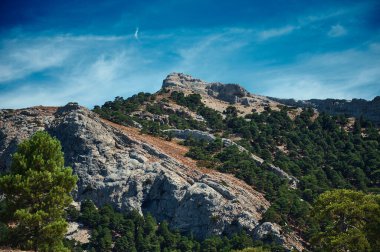 Çam ağaçlarıyla benekli engebeli dağ yamacı canlı mavi gökyüzünün altında yükseliyor, doğa, seyahat, macera, yürüyüş ve stok koleksiyonlarındaki manzara temaları için mükemmel..
