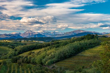 Güneş, Collio, Friuli Venezia Giulia, İtalya 'nın üzüm bağlarının üzerinden batar.